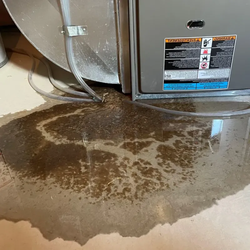 Pipe Burst and Leak Restoration in Parkville, PA